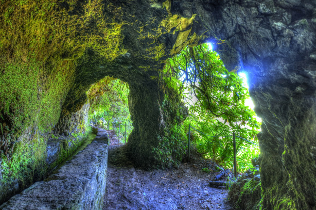 Обои картинки фото португалия, madeira, природа, горы, дорожка, растительность, арка, скалы