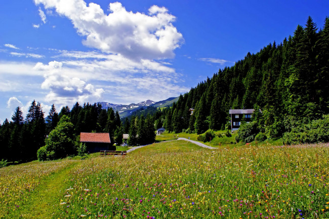Обои картинки фото швейцария, граубюнден, маликс, природа, пейзажи, облака, дома, тропинка, лес, горы