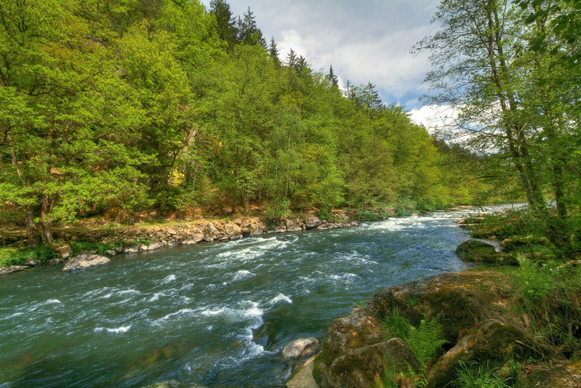 Обои картинки фото германия, бавария, природа, реки, озера, лес, река