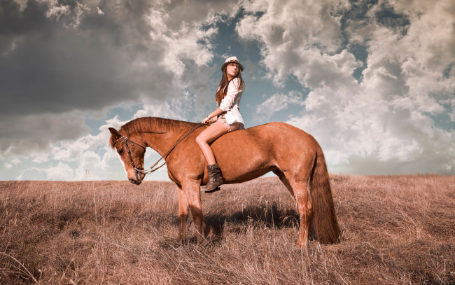 Обои картинки фото девушки, -unsort , брюнетки,  шатенки, небо, шляпа, всадница, лошадь, девушка, поле, облака, трава