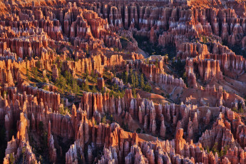 Картинка природа горы bryce canyon national park сша юта деревья скалы