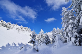 Картинка природа зима деревья горы облака небо ели снег