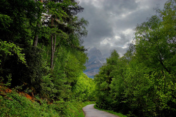 Картинка природа дороги горы лес тропинка