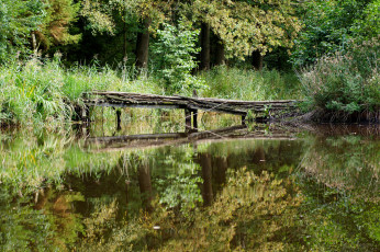 Картинка природа реки озера мостик река лес