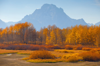 Картинка природа пейзажи деревья осень дымка горы небо