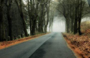 Картинка природа дороги осень туман дорога лес