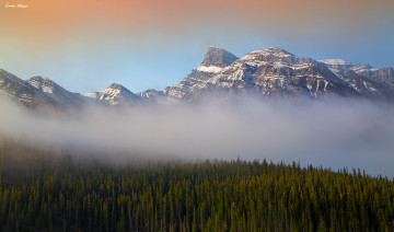 Картинка природа горы туман лес утро