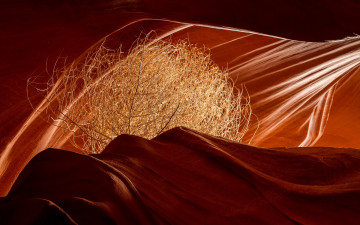 Картинка природа горы antelope canyon цвет