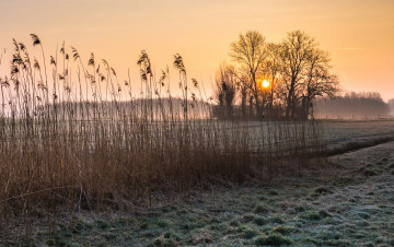 Картинка природа восходы закаты изморозь поле