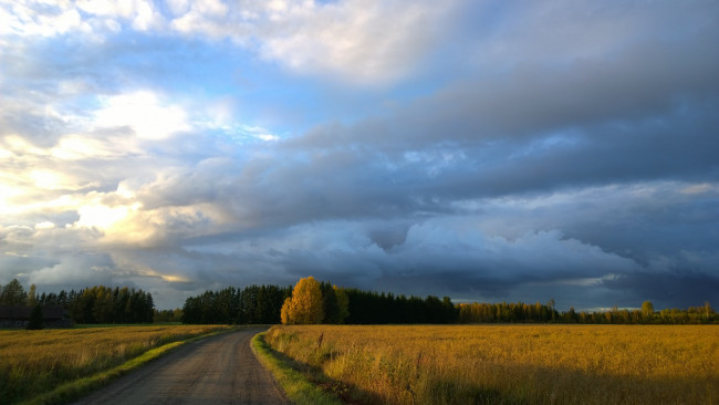 Обои картинки фото природа, дороги, поле, небо, дорога, облака