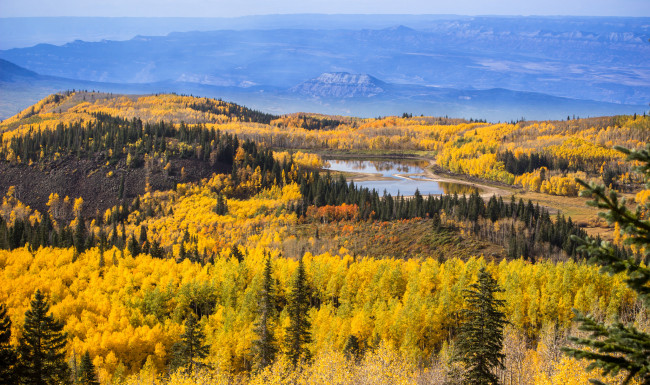 Обои картинки фото природа, лес, озеро, горы, пейзаж, деревья, осень