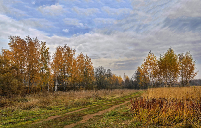 Обои картинки фото природа, дороги, пейзаж, осень, деревья, подмосковье