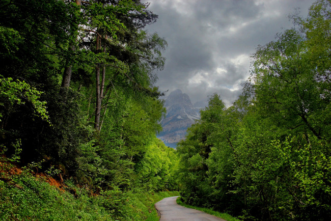Обои картинки фото природа, дороги, горы, лес, тропинка