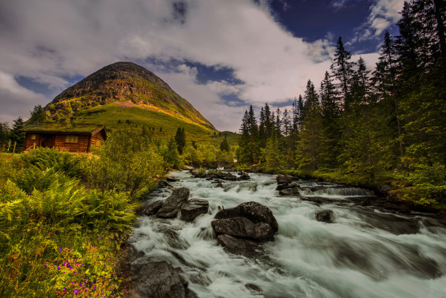 Обои картинки фото природа, реки, озера, холм, река, норвегия, norway, деревья, хижина
