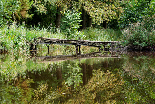 Обои картинки фото природа, реки, озера, мостик, река, лес