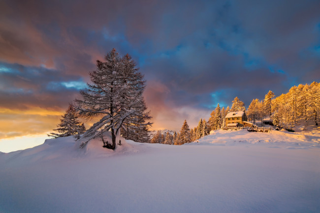 Обои картинки фото природа, зима, снег, утро, Январь, альпы, горы, пьемонт, италия, свет