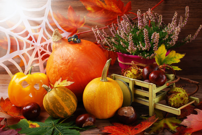 Обои картинки фото праздничные, хэллоуин, тыква, урожай, pumpkin, осень, листья, leaves, autumn, harvest, still, life