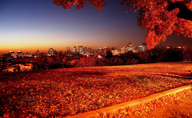 Обои картинки фото города, - огни ночного города, панорама, листопад, парк, осень, огни