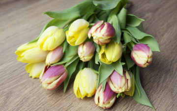 Картинка цветы букеты +композиции bouquet flowers тюльпаны tulips