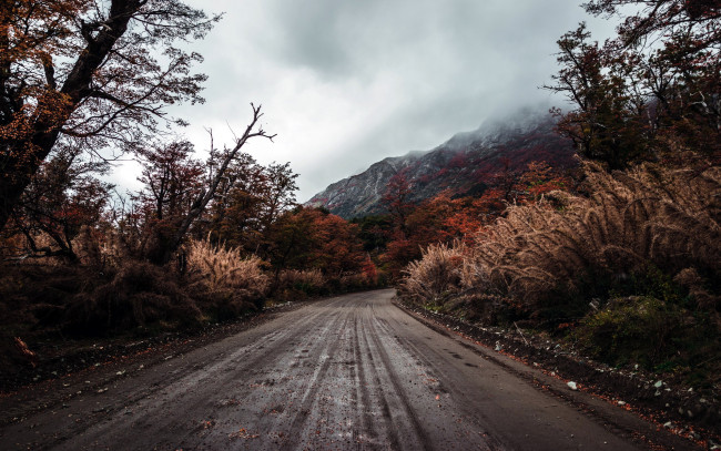 Обои картинки фото природа, дороги, листопад, осень, дорога