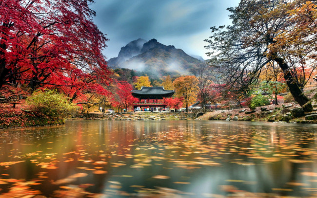 Обои картинки фото природа, парк, листопад, осень, пагода, водоем, горы