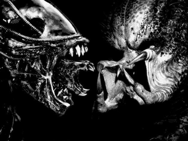 Обои картинки фото aliens, vs, predator, кино, фильмы, alien