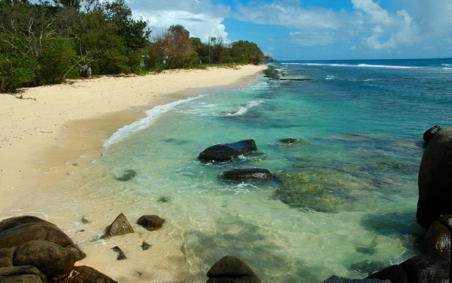 Обои картинки фото seychelles, north, east, point, природа, побережье