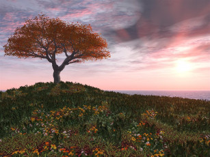 Картинка 3д графика nature landscape природа трава дерево цветы