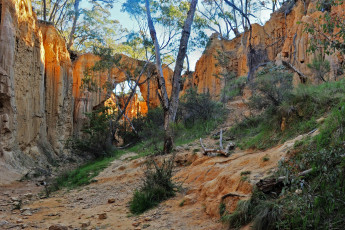 Картинка природа горы скалы арка деревья