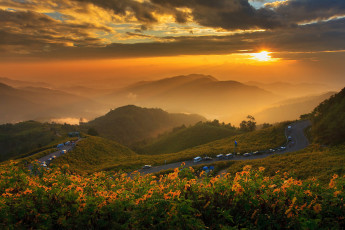 Картинка природа восходы закаты солнце дорога таиланд цветы закат облака пейзаж горы