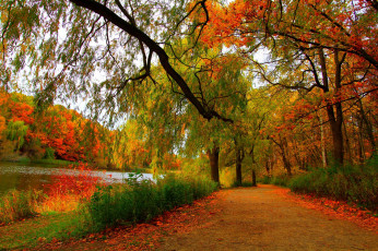 Картинка природа дороги river landscape scenery view autumn осен деревья лес trees forest nature пейзаж