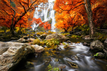 Картинка природа водопады пейзаж лес водопад вода деревья осен nature river landscape forest trees autumn scenery view waterfall water