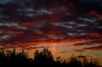 Картинка природа восходы закаты закат деревья облака небо