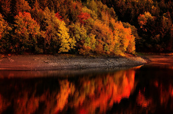 Картинка природа лес осень деревья река