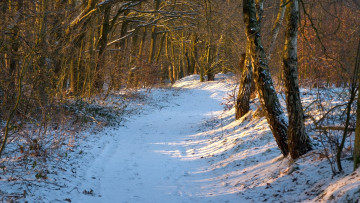 обоя природа, дороги, снег, деревья