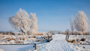 Картинка природа зима деревья мост снег