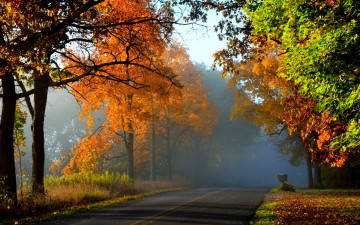 обоя природа, дороги, nature, forest, park, trees, leaves, colorful, road, path, autumn, fall, colors, walk, листья, осень, деревья, дорога, лес, парк