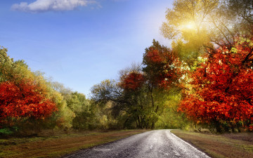 обоя природа, дороги, небо, лучи, листья, красочно, осень, пейзаж, дорога
