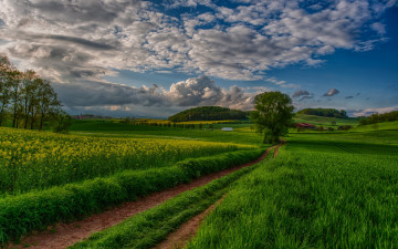 Картинка природа дороги road path красивый небо sky view scenery landscape nature пейзаж вид beautiful clouds trees field sunset закат облака деревья поле