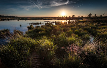 Картинка природа восходы закаты заря горизонт трава река
