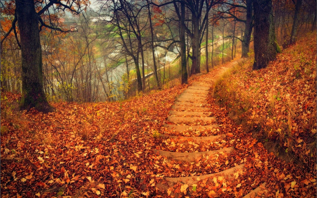 Обои картинки фото природа, дороги, осень, лестница