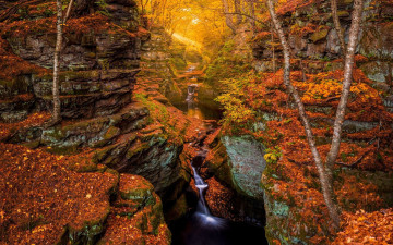 Картинка природа реки озера лес осень поток
