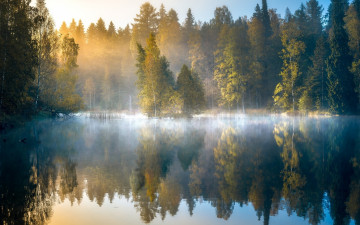 Картинка природа реки озера осень лес утро озеро туман
