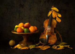 обоя музыка, -музыкальные инструменты, скрипка, листья, фрукты, autumn, mood