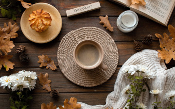 Картинка еда кофе +кофейные+зёрна осень хризантемы кекс