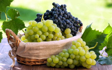 Картинка еда виноград грозди ягоды