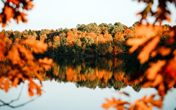 Картинка природа реки озера отражение осень река