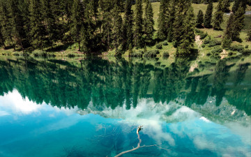 Картинка природа реки озера вода река отражение