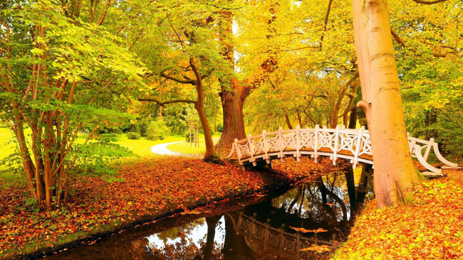 Обои картинки фото природа, парк, мостик, водоем, осень, листопад