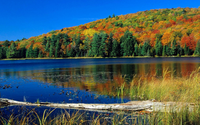 Обои картинки фото природа, реки, озера, осень, река